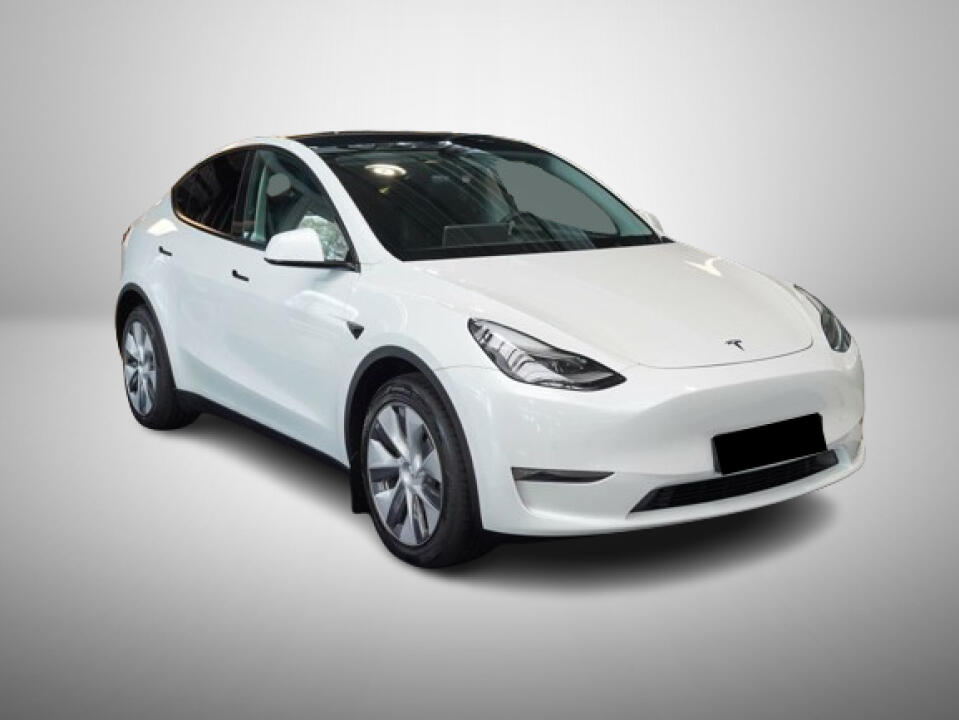 Tesla Model Y Dual Motor 2023